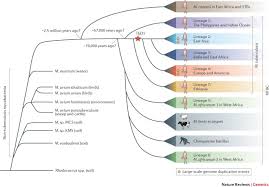 How high is 168 cm? Genomic Insights Into Tuberculosis Nature Reviews Genetics