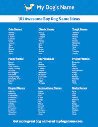 boy dog names 350 ideas for male