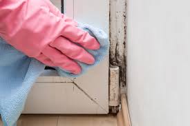 how to inspect your home for mold room