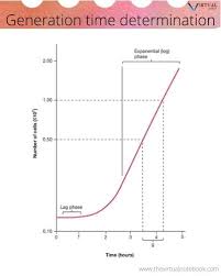Bacterial Growth Curve Phases