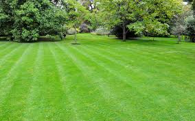 Landscaping & lawn services sod & sodding service lawn maintenance. The Ins Outs Of Lawn Care Companies Today S Homeowner