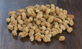 benefits of dried mulberry magro gıda