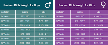 Definition Of Premature Birth Inha Irish Neonatal Health