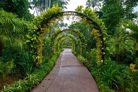 singapore botanic gardens singapore