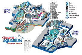 aquarium map ripley s aquarium of