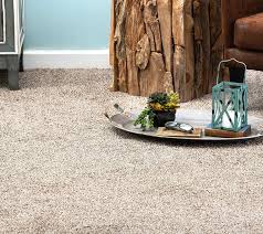 luxurious carpet flooring solutions