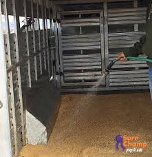 tips for bedding your stock trailer