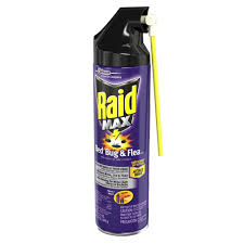 raid max 17 5 oz bed bug aerosol