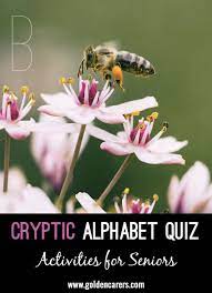cryptic alphabet quiz