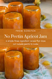 make apricot jam no pectin recipe