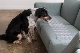 Dog Friendly Furniture Pet Couches Pets