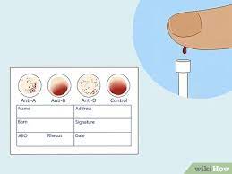 How To Find Out Your Blood Type gambar png