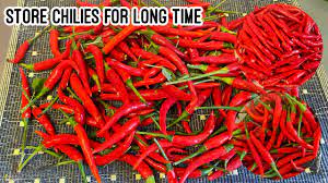 how to chillies for months