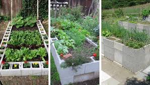 Useful Diy Vegetable Gardens