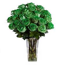 Resultado de imagen para green roses two dozen images