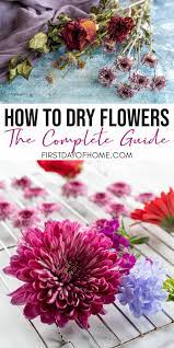 how to dry flowers and get the best