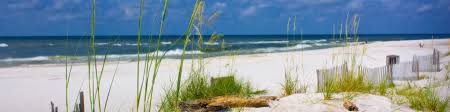 You'll arrive at your destination in no time! Gulf Shores Wikitravel