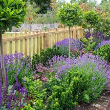Simple Fence Line Landscaping Ideas On