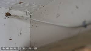 drilling holes in structural wood beams