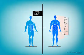 understanding men s body fat percene