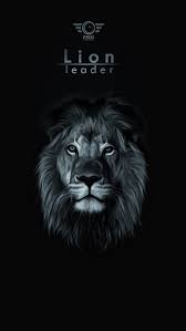 Lion, black, face, king, lions, HD ...