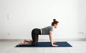 30 best yoga poses for beginners yoga