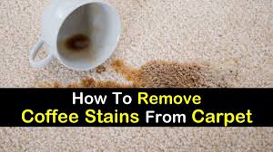 remove coffee stains from carpet