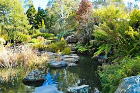 australian national botanic gardens