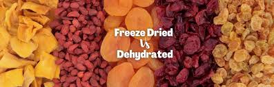 freeze dried vs dehydrated