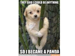 Adorable Puppy Memes - Momtastic via Relatably.com