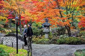 Japanese Garden Fall Color Can Inspire