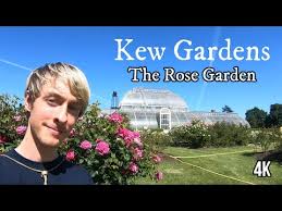 kew gardens the rose garden 4k