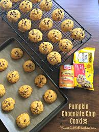 pumpkin chocolate chip cookies soft