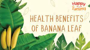 banana leaf benefits side effects