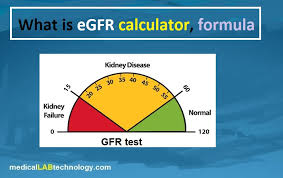 Glomerular Filtration Rate Blood Test