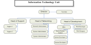 The Organizational Chart Of It Unit