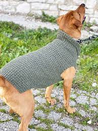 Knit Dog Sweater Pattern 6 Free