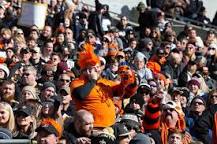 who-dey-think-gonna-beat-them-bengals
