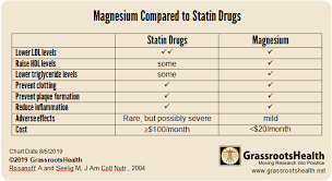 Comparing Magnesium Supplementation With Statin Drugs