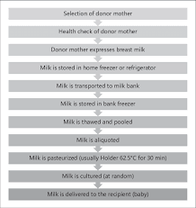 Flow Chart Of The Human Milk Banking Process Download