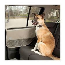 Best Dog Car Seats Tips For Road Trips