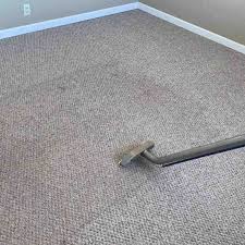 the 1 carpet cleaning in boca raton