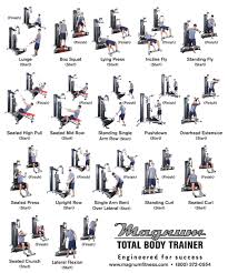 23 Disclosed York Home Gym Exercise Chart