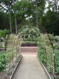 This Bean Arch Made From Rebar Supports