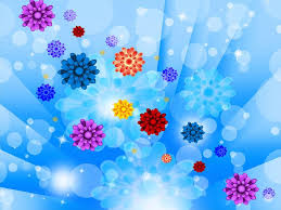 photo of blue flowers background shows