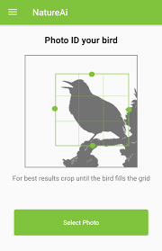 Are you looking for a professional bird identification app? Download Australian Bird Identifier Bird Identification Free For Android Australian Bird Identifier Bird Identification Apk Download Steprimo Com