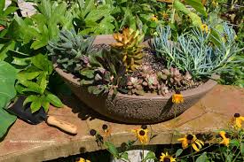 Planting A Succulent Container Garden
