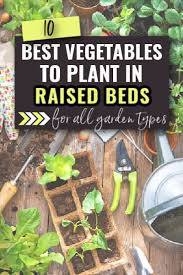 Best Vegetables For Raised Garden Beds