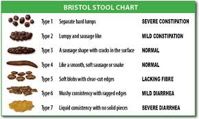 What The Bristol Stool Scale Tells You About Your Poop Stool