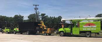 Toms river also offers stump grinding services and services for removing problematic shrubs from customers' properties. Tree Services Brick Toms River Nj Treemasters Llc